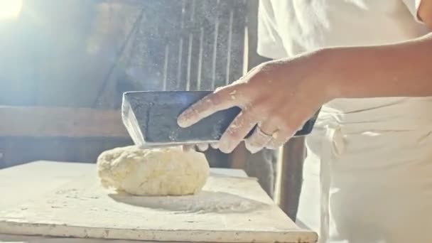 Forma para assar pão nas mãos do padeiro jovem — Vídeo de Stock