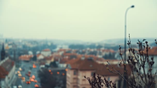 Night view of famous european Prague city - the capital pf Czech republic - blurred defocused background — Stock Video