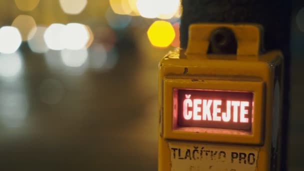 Night View of traffic lights in street in Prague, Czech Republic. Button switch for pedestrians close up. — Stock Video