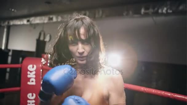 Giovane ragazza boxe facendo esercizi — Video Stock