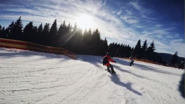 Snowboarder masculin sur les pistes par une matinée ensoleillée dans la Bukovel. Vacances d'hiver . — Video