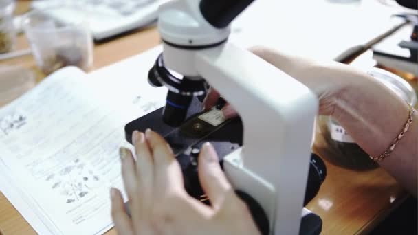 Controllo qualità dei prodotti alimentari. Giovane donna in laboratorio chimico . — Video Stock