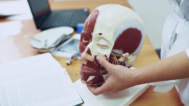 Учитель делает инъекцию модели человеческого лица — стоковое видео