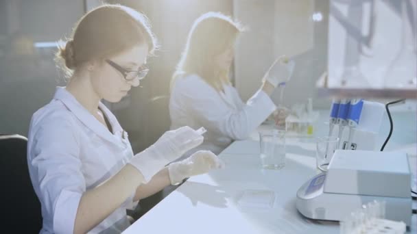 Hembras trabajando en laboratorio — Vídeos de Stock