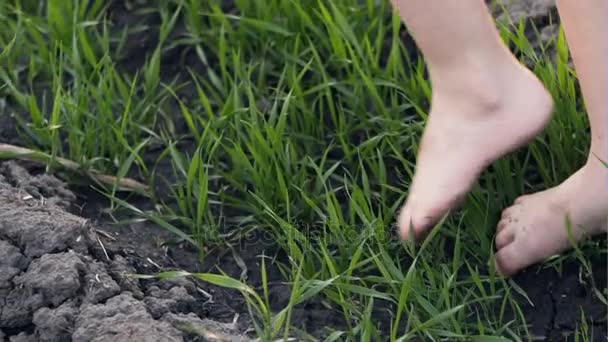Bara fötter kliva över färskt gräs — Stockvideo