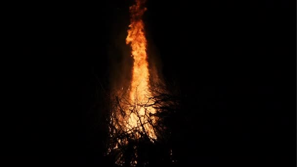 Grande fuoco fiamme su uno sfondo nero — Video Stock
