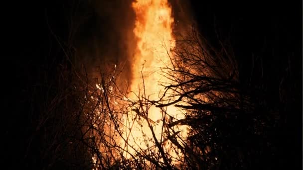 Feu de nuit au ralenti — Video