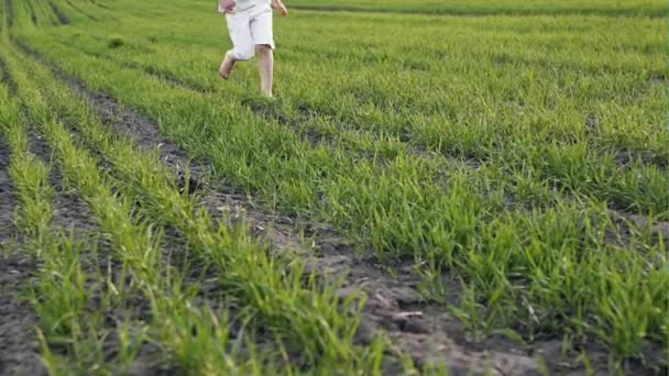 Menina correndo através de um campo agrícola — Vídeo de Stock