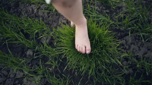 Una joven está descalza sobre hierba verde sobre un fondo de una puesta de sol en el campo . — Vídeos de Stock