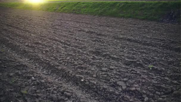 Грунд на поле на фоне заката солнца — стоковое видео