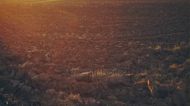 Terreno seco no campo — Vídeo de Stock