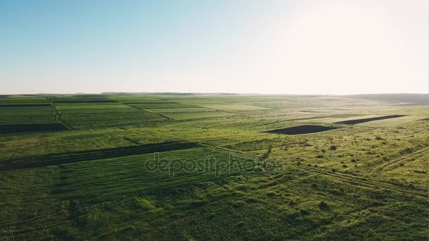 Green fields view — Stock Video