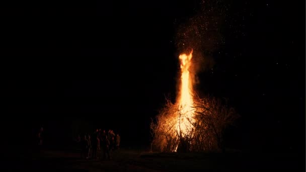 Duży pożar z gałęzi drzew w nocy. — Wideo stockowe