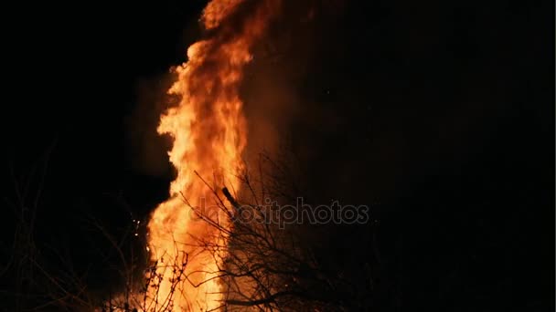 Горячий огонь, сжигающий сухой лес в ночное время, концепция окружающей среды - замедленное движение — стоковое видео