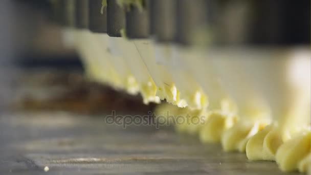 Producción en el primer plano de los dulces de fábrica — Vídeos de Stock