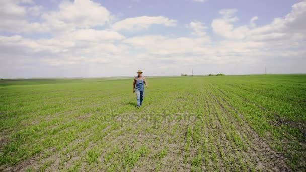 Happy farmář důvěra je široké pole mladé pšenice. — Stock video