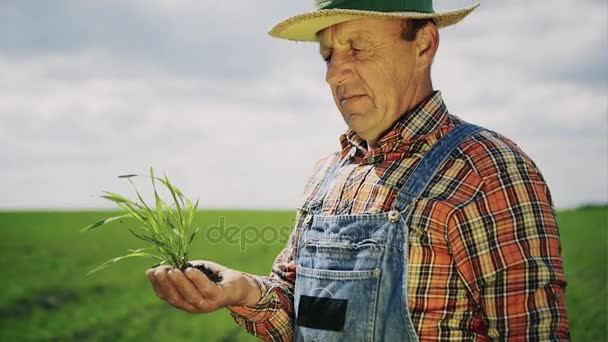 Ritratto di un agricoltore felice che tiene a portata di mano il raccolto e mostra come — Video Stock