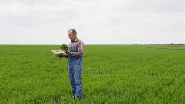 A farmer stands in a green field of grass and green grass pours out of his hat. — Stock Video