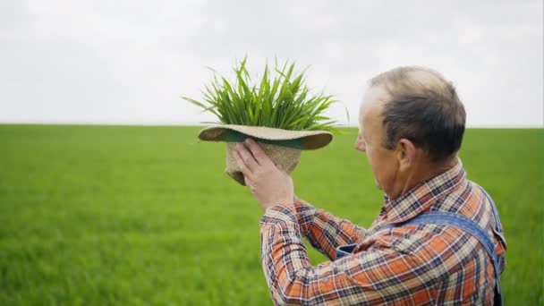 Фермер держит зеленое поле, полное травы и счастливой шляпы хороший урожай — стоковое видео