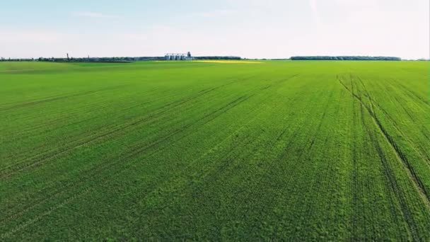 Un campo verde en primavera - una vista aérea — Vídeos de Stock