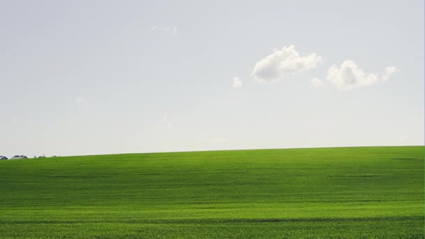 Yeşil çim alan ve parlak mavi gökyüzü - panoramik görünüm — Stok video