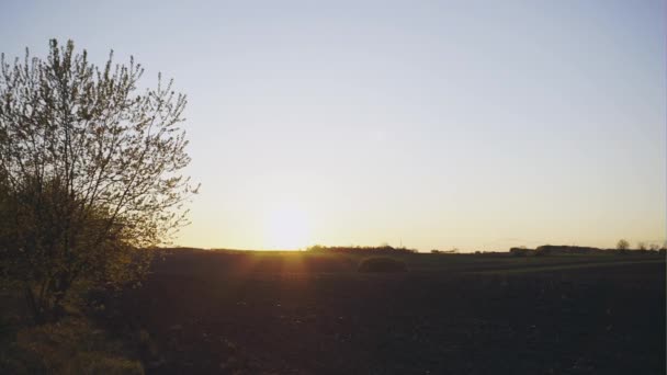 Geploegd veld bij zonsondergang in het voorjaar - panoramisch uitzicht — Stockvideo
