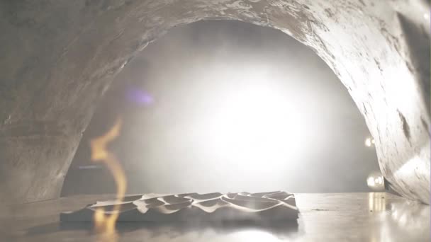 In de oven is het bakken van een gipster — Stockvideo