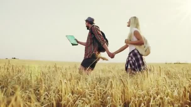 Gelukkige paar lopen via het veld — Stockvideo