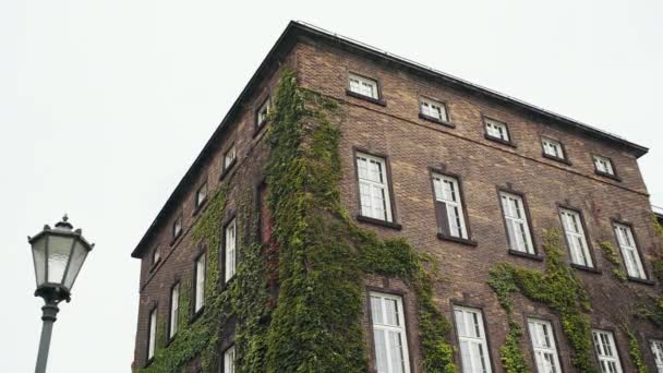 Vecchia casa in mattoni con parete frontale ricoperta di edera verde. Un inizio meraviglioso per un film horror . — Video Stock