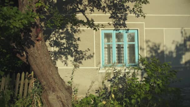 Uma antiga casa abandonada na aldeia, sobre um fundo de árvores . — Vídeo de Stock