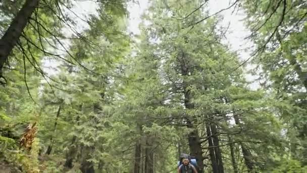 Groep van backpackers wandelen door bos — Stockvideo