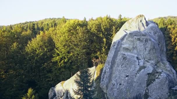 Dağlarda bir ormanın ortasında büyük taşlar — Stok video