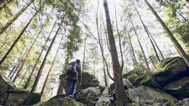 Zwei Personen zu Fuß durch den Wald in den Bergen — Stockvideo