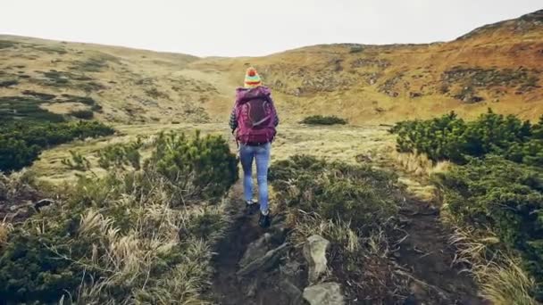 Anonymous backpacker on picturesque landscape — Stock Video