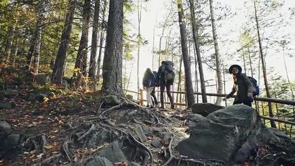 Gruppo di giovani escursionisti — Video Stock