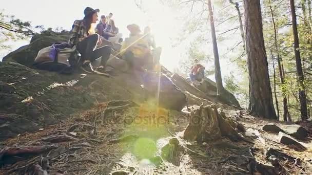 Grupo de amigos descansando no topo da montanha . — Vídeo de Stock