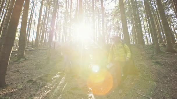 Gruppe von Menschen steigt im Bergwald ab — Stockvideo