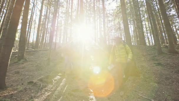 Gruppo di persone che scendono nella foresta di montagna — Video Stock