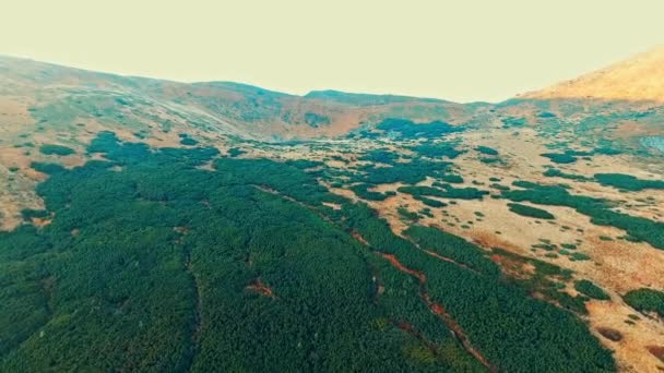 Вид с воздуха на осенние земли — стоковое видео