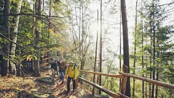 Turistas caminando por la carretera en el bosque . — Vídeo de stock