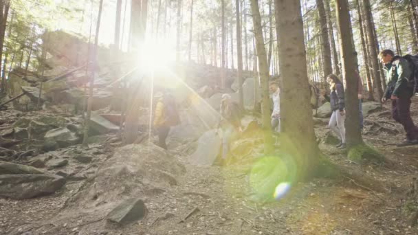 Gelukkig groep toeristen lopen door het bos — Stockvideo