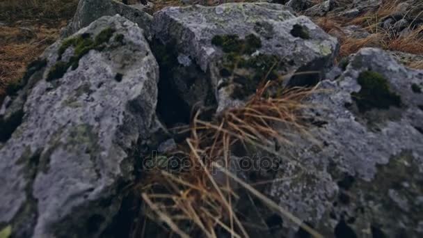 Een eenzame man denkt over zijn leven in de buurt van een bergmeer tegen de achtergrond van de zon in het weiland weer — Stockvideo