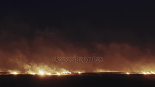 Flamme d'herbe brûlant sur les champs — Video