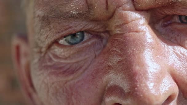 Los ojos de la cosecha del hombre de edad — Vídeo de stock