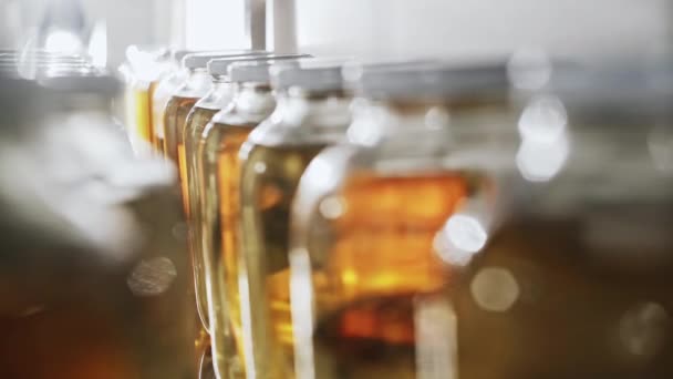 Jars with chemical flavorings in storage — Stock Video