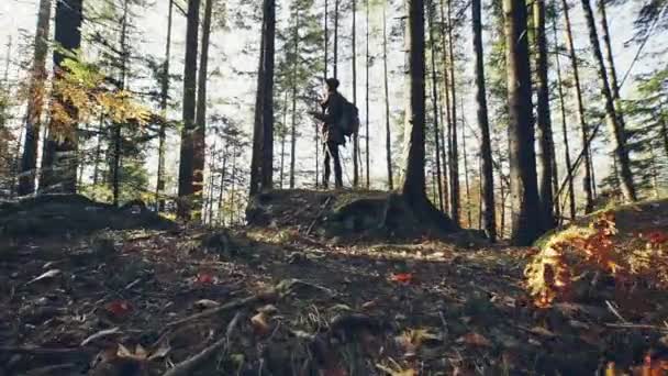 Mujer joven viajera en busca de dirección con una brújula y un mapa en el bosque — Vídeo de stock