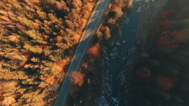 Belle route dans les montagnes d'automne des Carpates, en passant par la rivière. Deux perles blanches se dirigent vers un mannequin . — Video