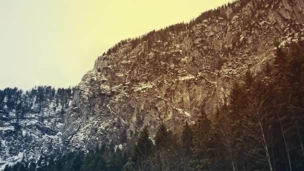 Panorama cinematografico montagne boschi in inverno con rime ghiaccio — Video Stock