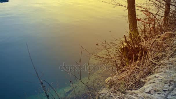A picturesque winter clear alpine lake with a reflection of a clear sky. On the shore is covered with green and green inium and snowy grass. Ideal background of calm alpine lake. — Stock Video