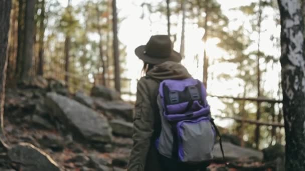 İki genç kadın ile kayaları kıvrımlı bir yol boyunca onların yol yapım bir ormanda yürürken sırt çantaları. — Stok video